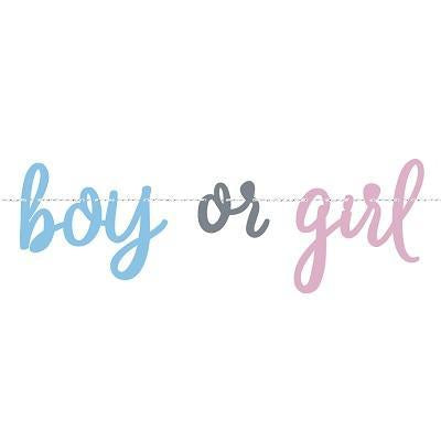 Gender Reveal Boy or Girl Banner - Party Things Canada