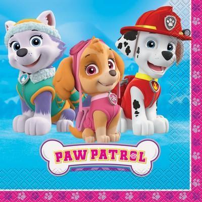 Paw Patrol Girl Luncheon Napkins-Skye Paw Patrol Girl Birthday Supplies-Party Things Canada